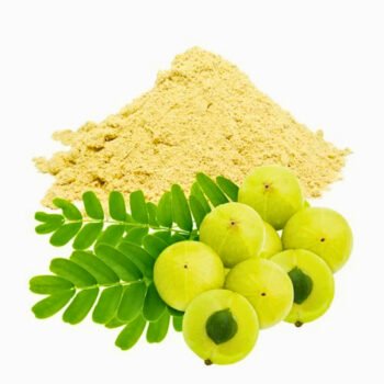 অর্গানিক আমলকী গুঁড়া (৫০ গ্রাম)