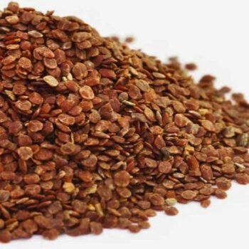 তালমাখনা